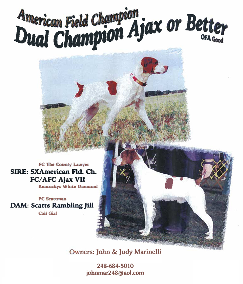 ajax or better magazine ad