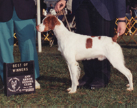 Little Jax, Brittany show win