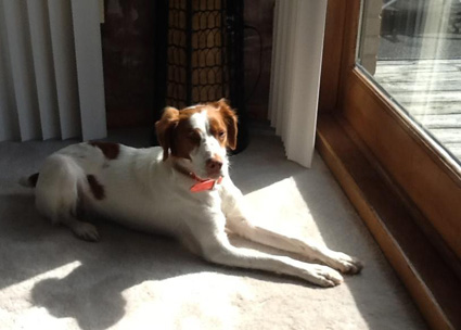 Frosty sunning
           